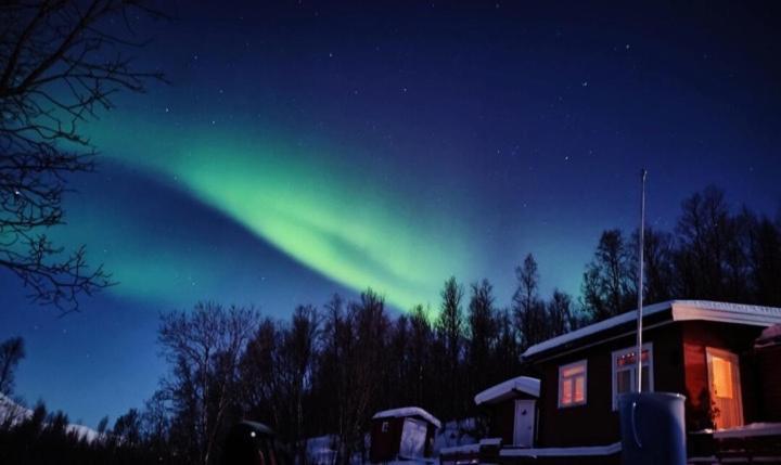 Cozy And Spacious Cabin Svensby Exterior photo